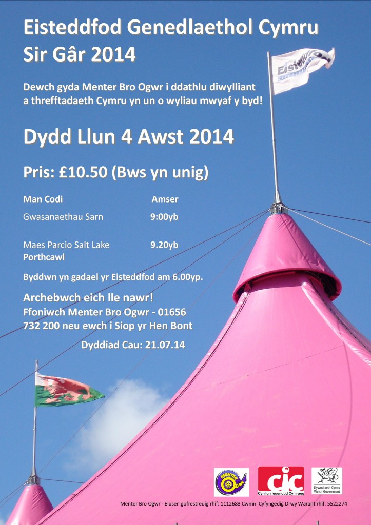 Eisteddfod Sir Gâr 2014