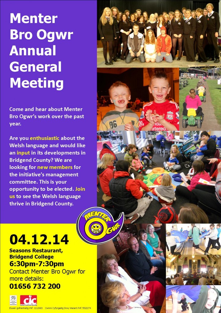 Cyfarfod Blynyddol 2014 S