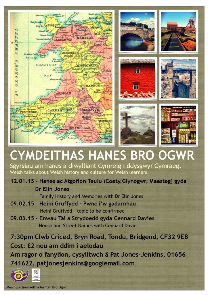 cymdeithas hanes 2015