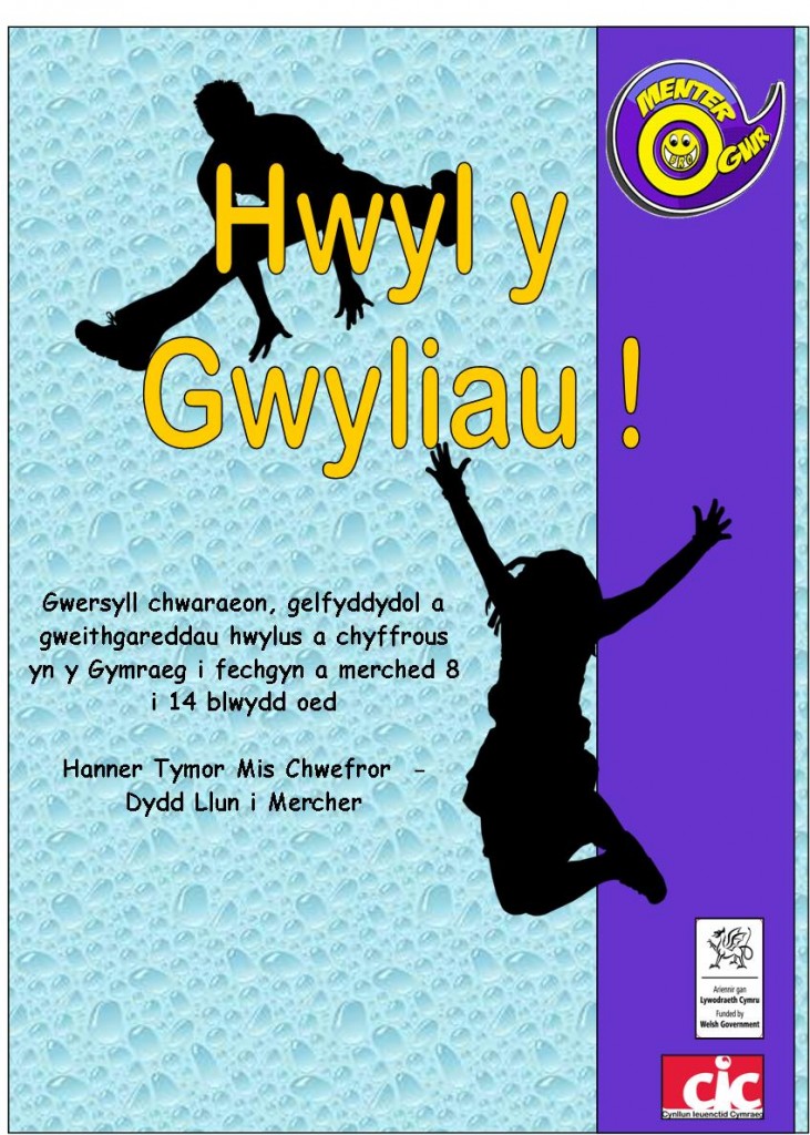 Hwyl y Gwyliau Chwefror 2015